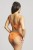 goldenhour_SW1624+SW1626_orangezest_powt.jpg