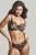Clara - Panache - biustonosz 7255 - czerń i złoto