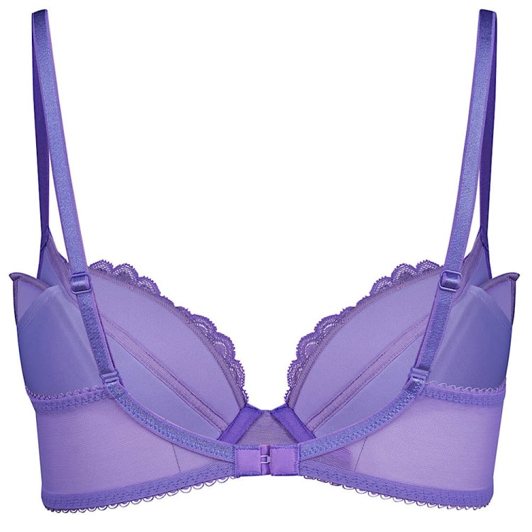 sbl_purplehebe_7711_szczt.jpg