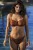 arizonawave_goldenhour_AS206103+AS206185_lf.jpg